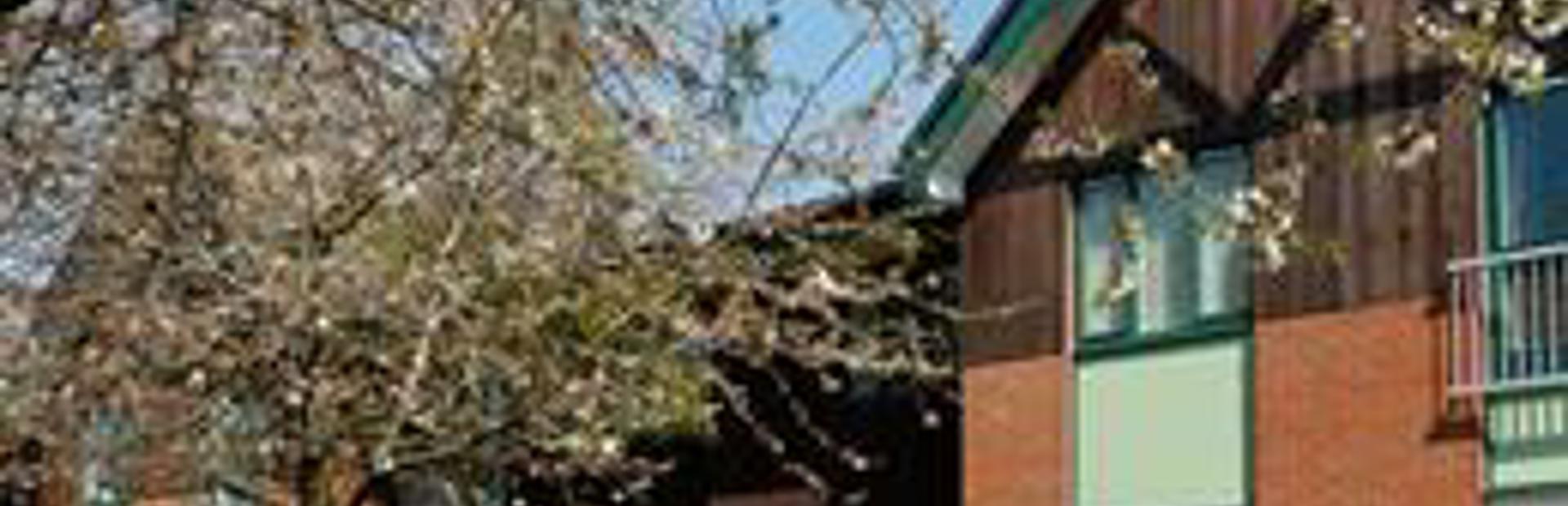 St Matthews Place 4 (1)