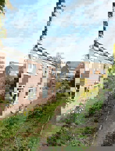 Randall Schofield Court 016