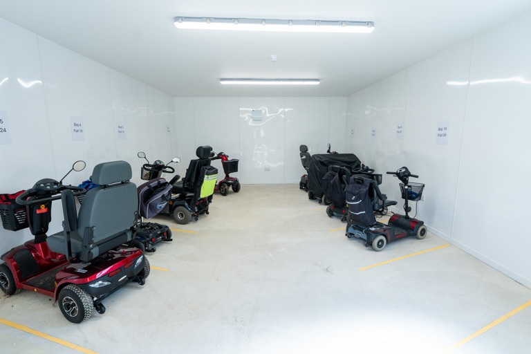 Mobility buggies in storage