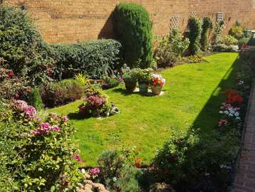 Communal garden area with plants and grassed area alongside bricked wall at Amos Court