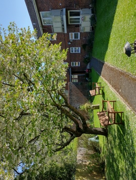 Court Gardens 2