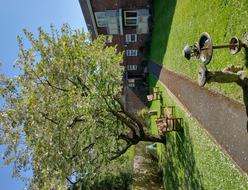 Court Gardens 2 