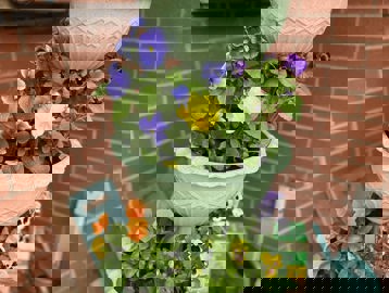Three-tiered potted plant with flowers of different colours.