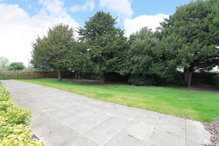 Adam Court 5