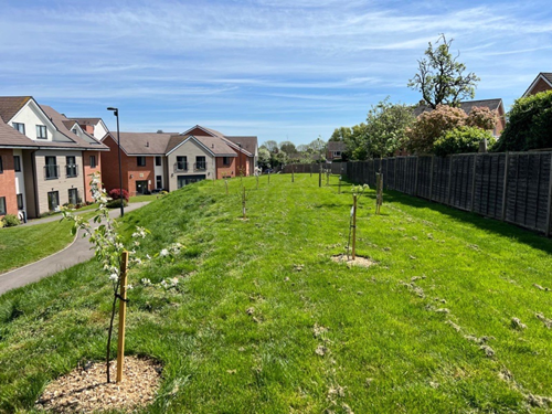 The gardens at Lavender Meadows featuring a lawn and trees overlooked by a three storey building