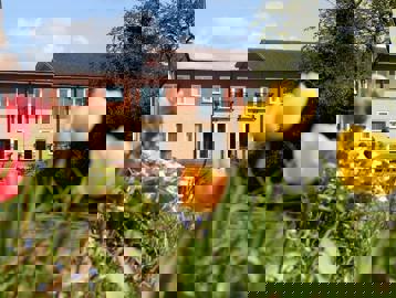 A close-up of some tulips in the garden at Chatham Place