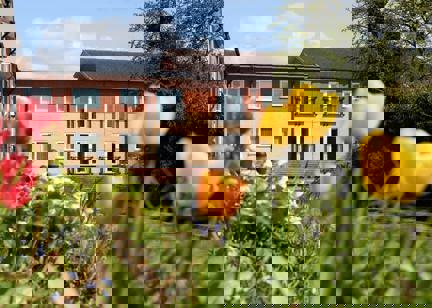 A close-up of some tulips in the garden at Chatham Place