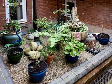 Burland Court Garden