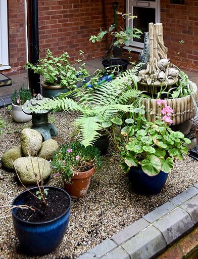 Burland Court Garden 