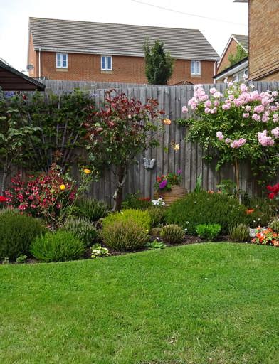 Farren Court Communal Garden 