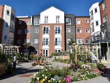 Communal garden area with plants and flowers in bloom on a sunny day