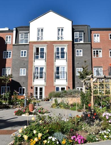 Communal garden area with plants and flowers in bloom on a sunny day 