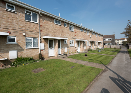 A row of gardens in front of resident's homes on a sunny day