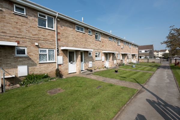 A row of gardens in front of resident's homes on a sunny day
