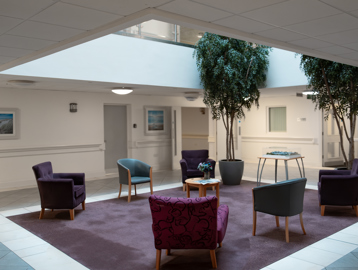A large indoor communal space with soft bucket chair seating and indoor plants