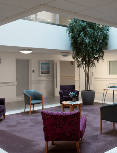 A large indoor communal space with soft bucket chair seating and indoor plants 