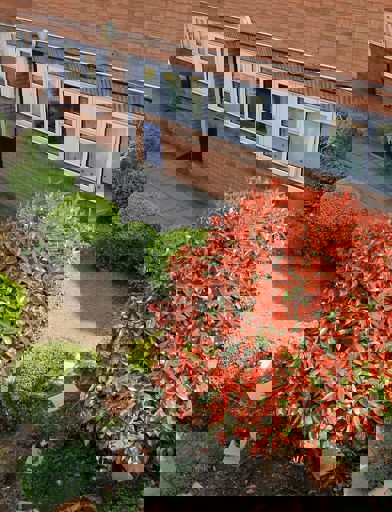 1703 Edward Pinner 004