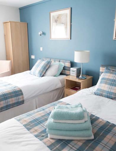 Napier Court Guest Bedroom 