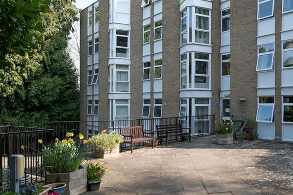 Large patio area with plants, flowers, trees and seating in the communal area