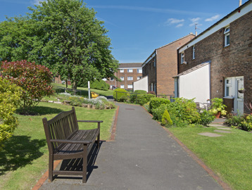 Bench on a path alongside properties with large tree in the background