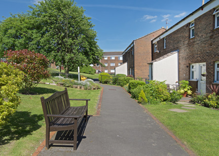 Bench on a path alongside properties with large tree in the background