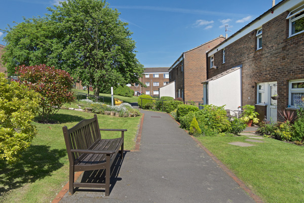 Bench on a path alongside properties with large tree in the background