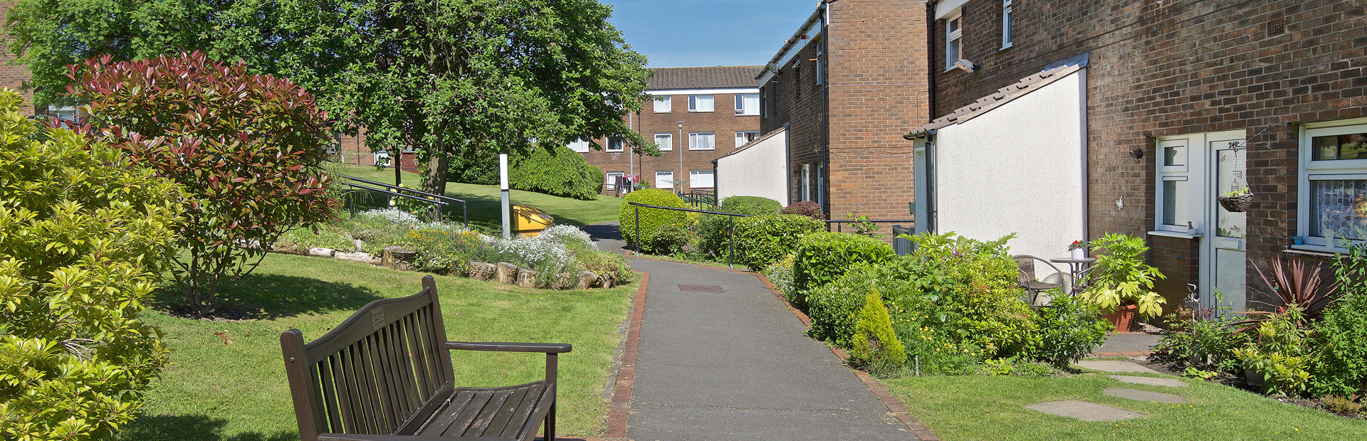 Bench on a path alongside properties with large tree in the background