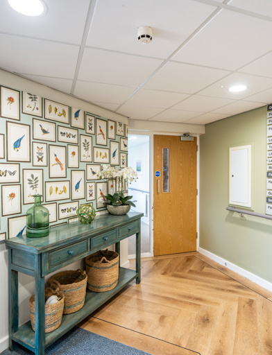Bright and modern hallway with various artworks on the walls 