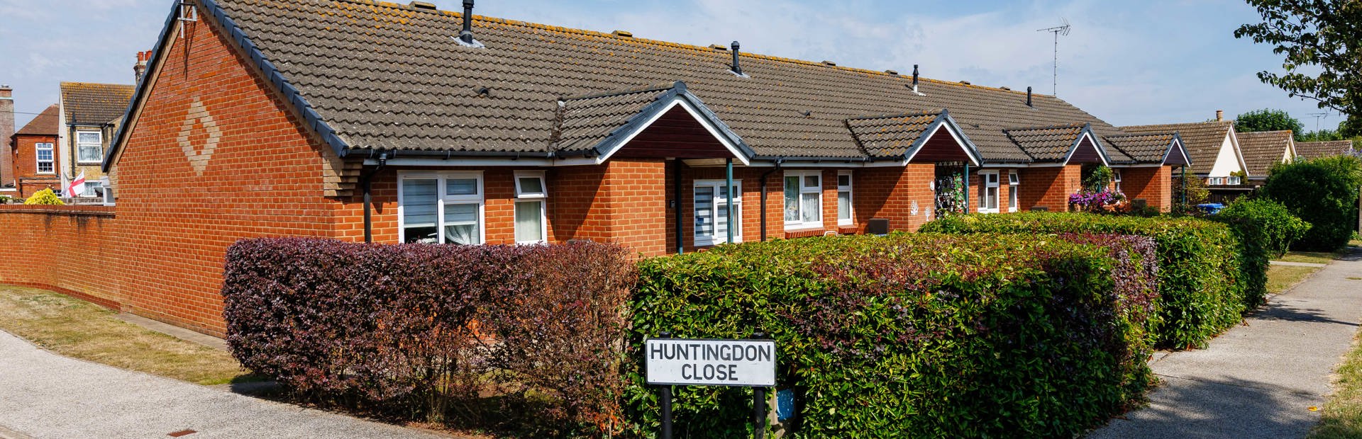 A row of bungalows set behind hedging with a footpath to the front
