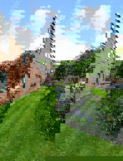 Image (61) 