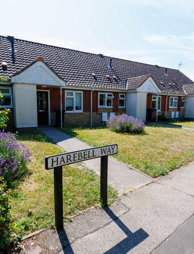Frontal view of the bungalows, lavender plants grow on the lawns out front