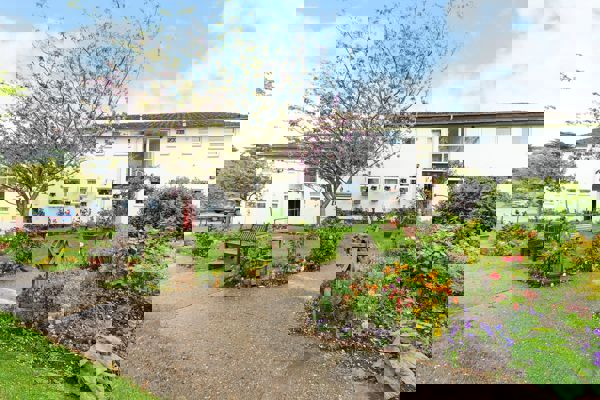 A garden outside Wilding Court featuring a range of flowers and a bench