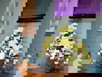 Close up of a potted plant in the communal lounge at Alexandra Court