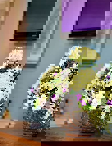 Close up of a potted plant in the communal lounge at Alexandra Court