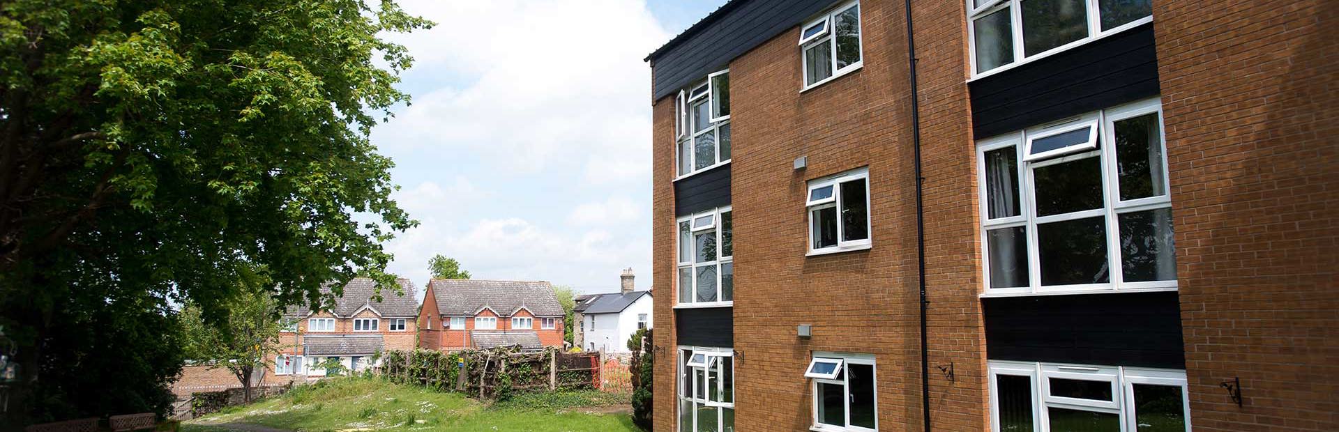 Blackett Ord Court Garden
