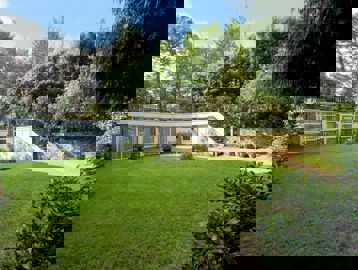 Communal garden area with lawn, plants and steps up to patio area