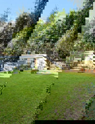 Communal garden area with lawn, plants and steps up to patio area 