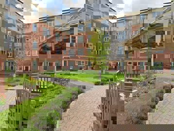 Saxon Court 19