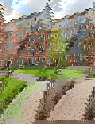 Saxon Court 19 
