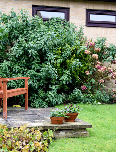 H21 Wellington Court 2