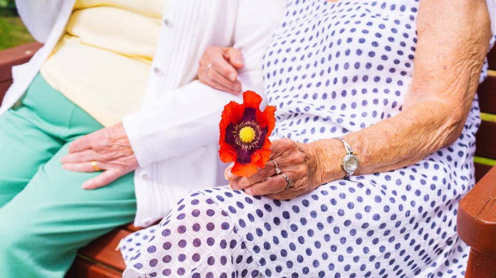 The arms of two ladies sitting on a bench and one holds a flower