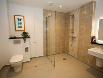 Image (6)