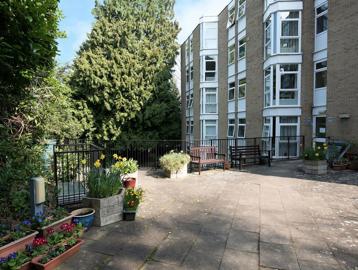 Large patio area with plants, flowers, trees and seating