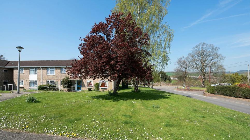 Large grassed area to the front of the scheme with large trees in the centre