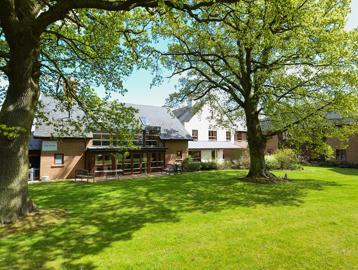 Two large oak trees in the rear garden outside Oak House Court