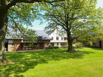 Two large oak trees in the rear garden outside Oak House Court