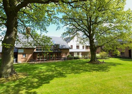 Two large oak trees in the rear garden outside Oak House Court