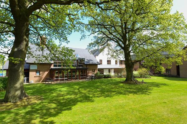 Two large oak trees in the rear garden outside Oak House Court