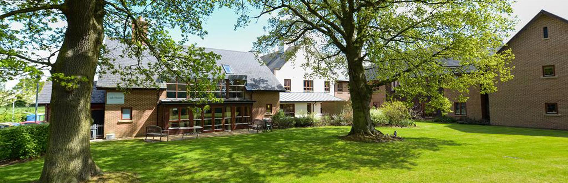 Two large oak trees in the rear garden outside Oak House Court