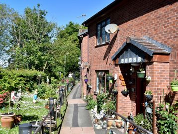 Communal garden area with plants and flowers in bloom on a sunny day